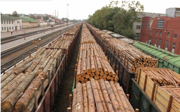 俄罗斯将完全禁止原木出口，木箱成本增加同时